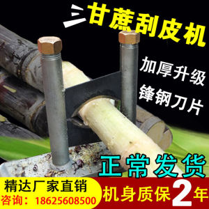 เครื่องลอกเปลือกมะพร้าวแบบหนาพิเศษ เครื่องลอกมะพร้าว เครื่องลอกผักและผลไม้ เครื่องมือล้างผิวเครื่องมือล้างผิว ของใช้ในครัว