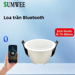 Loa Trần Bluetooth MINI Âm Thanh Nổi Trong Nhà Trong Nhà Cho Phòng Tắm Nhà Bếp Phòng Khách Phòng Ngủ Hệ Thống Âm Thanh Âm Trần Bằng Kim Loại Không Thấm Nước