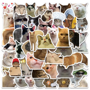 50pcs Funny Ins Hot Meme Cats Cartoon Cute Graffiti Stickers Suitcase Laptop Guitar Skateboard Personalized Decoration Stickers