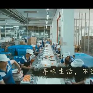 邬辣妈-长沙臭豆腐-香辣味/蒜蓉味 20克x20 包装 WULAMA-Stinky Tofu-Spicy Flavor/Garlic Flavor 20Gx20 BOX