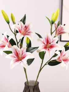 Đồ Trang Trí Hoa Sen Phong Cách Châu Âu Cao Cấp Trong Nhà Bàn Trà Phòng Khách Hoa Nhựa 3D6 Đầu Phim Nhỏ Trang Trí Hoa Sen