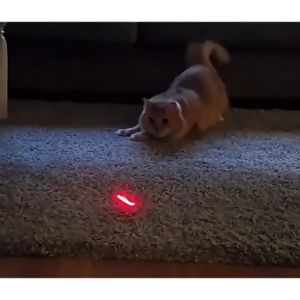 Đèn lazer tia Đỏ/màu xanh lá Đèn pin laze Đèn lazer dạy học/cho mèo-HAUSE
