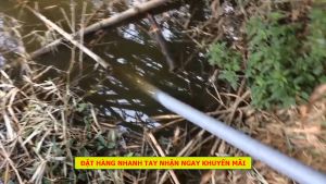 Máy bơm chạy xăng nhật bản osaika gx300  (2.5HP)  ống phi 76mm  chuyên dụng trong tưới tiêu nông nghiệp  bảo hành 12 tháng