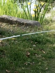 คันเบ็ดปั่น/หล่อเบ็ดตกปลา1.8เมตรแบบพกพา2ส่วนคันเบ็ดเมตรพลังงานสูงคาร์บอนไฟเบอร์แม็กซ์ลาก 10 กิโลกรัม