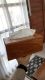 Arsakha Furniture