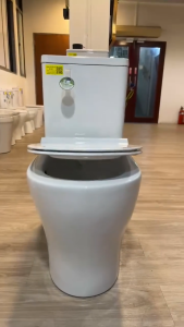 [CLIMATE VOUCHER $300] Aalto AL8050 Geberit Rimless Double Vortex Flushing Design Toilet Bowl