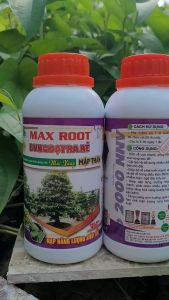 [Freeship Max] Phân bón kích rễ ra tượt mập thân phục hồi cây mai suy yếu BUNG ĐỌT RA RỄ mai vàng chai 500ml_THIEN THINH SHOP