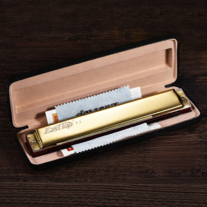 Advanced Playing For Adult Beginners Harmonica 28 Holes C Tone