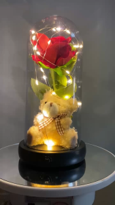 Dome Teddy & Red Rose Musik & LED – Hadiah Romantis yang Manis dan Hangat cocok untuk kado ulang tahun pasangan couple anniversary wisuda lamaran birthday gift