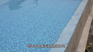 【Free Pool Gel】NexPool Automatic Pool Robot Cleaner With Remote Control Climb Wall And Floor Pool Cleaner Fully Automatic Cordless Robot Fast Charging and Long Battery Life IPX8 Waterproof and Safe Without Leakage For Big Size Swimming Pool