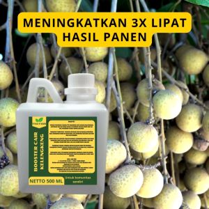 Pupuk Pelebat Kelengkeng / Pupuk Buah Kelengkeng / Pupuk Booster Kelengkeng / Pupuk Kelengkeng