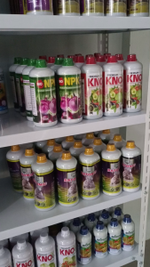 Pupuk KALIUM PHOSPAT Cair 1 liter Galaxy Memacu Pembungaan Memperbesar Umbi & Buah