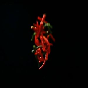 Máy Xay Đa Năng 6 lít Dessini Regina KING STYLE OR806 Inox Công Suất Lớn 1000W