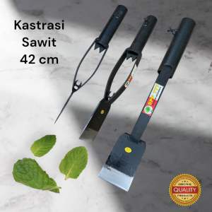 ALAT KASTRASI SAWIT / DODOS KASTRASI SAWIT
