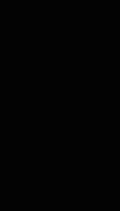 KS75.mp4
