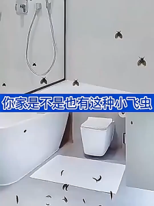 Long Lasting Sewer Pest Control 500ml Drain Toilet Pipe Insecticide Emulsion Kills Moth Flies Lipas & Pests for Household