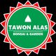 Tawon Alas Bonsai Tools