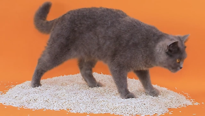 NEGISAND Premium Tofu Cat Litter Sand