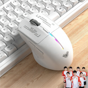 AULA | Wireless Bluetooth Rechargeable Ergonomic Mouse