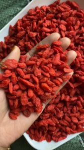 Kỳ tử đỏ hàng đẹp (200g) kì tử đỏ kỷ tử đỏ rất dễ mua và sử dụng