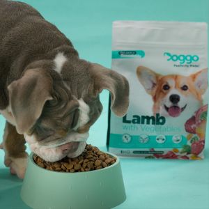 Doggo Hypoallergenic Lamb with Vegetables (1kg)