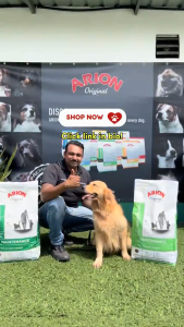 ARION ORIGINAL MAINTENANCE LARGE BREED 12KG