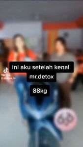 Mr.Detox Slimming Tea Teh Detoks Teh Pelangsing Penurun berat badan Ampuh Melangsingkan tubuh