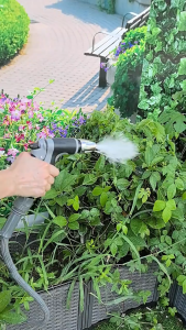 High Pressure Expandable Garden Hose 20M/15M/10M – Telescopic Coil for Watering & Car Wash