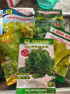 Combo 5 gói rau cải các loại ( được chọn gói) ngọn mập bẹ to trẻ lâu chịu nhiệt chịu mưa mỗi gói 20gr