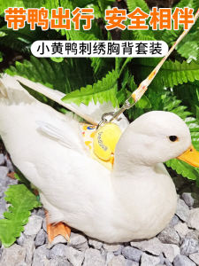 Koel Duck Leash Cat Leash Chest Back Strap Pet Leash Anti-Escape Harness Nylon Material Retractable for Cat Walking