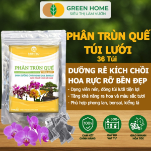 Phân Trùn Quế Viên Nén Greenhome Lavamix Túi lưới Bao 36 Túi Dinh Dưỡng Hữu Cơ Không Mùi Tốt Cho Lan Bonsai Rau