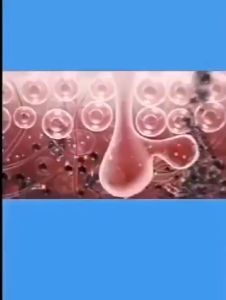 Anti-mite shower gel Acne Body Wash 300ml Whitening Brightening Anti Acne Body Whitening Shower Gel Moisturizing Exfoliating Body Foam Remove Chicken Skin Deep Cleaning Mite Removal