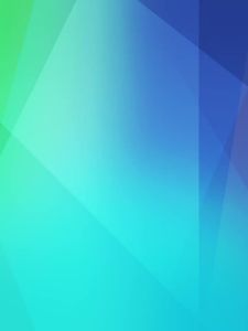 (Spot products)杀虫粉剂家用室内灭跳蚤除驱虫用品除虫菊酯