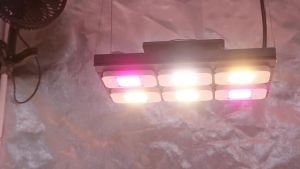 3000W DOB LED Quantum Grow Light Lighting Phytolamp For Greenhouse Hydroponic Plant Growth Illumination Flower Veg Bloom