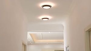 Modern 3 Colors LED Surface Mount Ceiling Light Black Metal Ceiling Lamp for Corridor Aisle Stair Decor Lighting Ceiling Light