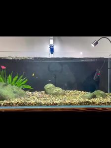 CoralCove เครื่องเปลี่ยนน้ำตู้ปลา ที่ดูดขี้ปลา เปลี่ยนน้ำ ถ่ายน้ำ เครื่องเปลี่ยนน้ำแบบถอดได้ ปั๊มลม อุปกรณ์ทำความสะอาด