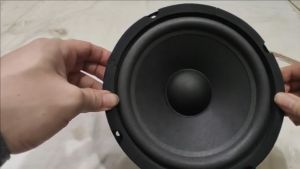 Loa bass 20 Sony từ đại xương sắt chống lòng sâu gân mút từ đại côn 38 chất hay giá 1 chiếc