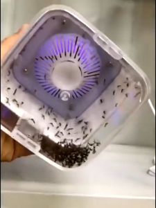 Best Seller LED Bionic Mosquito Killer Lamp | Mosquitoes Killer Lamp | LED Mosquitoes Zapper | Indoor Insect Killer Lamp | LED UV Bugs Zapper Lamp | UV Silent Killer Mosquito Lamp | Electric Powered Mosquito Trap | USB Electric Suction Type Insect Killer.
