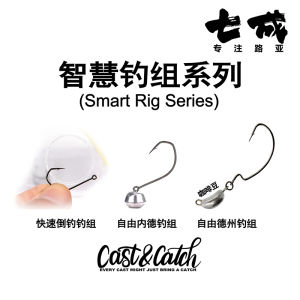 เสื้อคลุมล่อตกปลาแบบ Texas Rig ทรงเรียบง่าย ดีไซน์ใหม่ คุณภาพสูง เหมาะสำหรับการตกปลาในทะเลสาบและลำธาร