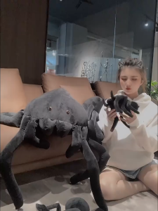 Thú bông Con nhện đen siêu mềm mịn mới nhất 2025