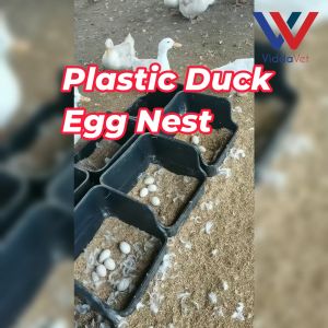 Duck Egg Laying Nest Box for Animal Husbandry on Duck Farms Duck Egg Nest Box for Poultry Farms Home Use Automatic