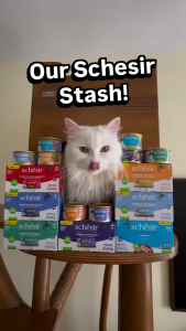[Sampling Bundle] Schesir Cat Complete Nutrition Natural Wet Food (85g x 4 cans) | Online Exclusive!