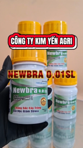 Thuốc điều hòa sinh trưởng Newbra 0.01 SL 24 Epi Brassinolide 0.01 g/l: chống sốc cây trồng giải độc giảm stress :giúp cây ra rễ đẻ nhánh thoát trổ đồng loạt và vô gạo tối đa