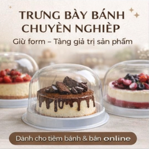 Hộp Nhựa Đựng Bánh H25 Mô Nắp Cầu Trong Suốt Đựng Bánh Kem Bánh Bông Lan 18x18x12cm Lốc 100 Cái