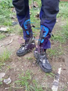 alat panjat pohon kelapa