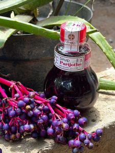 SIRUP PARIJOTO UNTUK PROMIL ASLI GUNUNG MURIA SIRUP PENYUBUR KANDUNGAN