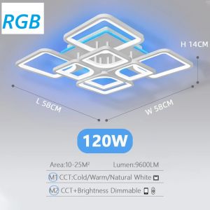 Modern Chandelier Ceiling Lights Square Lustre RGB Dimmable Ceiling Lamp Smart Lighting Home Decor Items for Living Room Lights