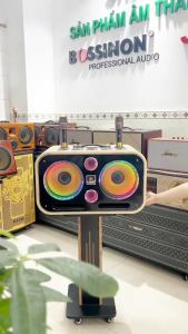 Loa karaoke xách tay bass 2T5 đôi N2536K- Hàng Chính Hãng công suất siêu khủng lên đến 1.000W siêu đẹp