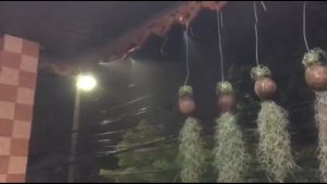 ชุดพ่นหมอก ประกอบเสร็จพร้อมใช้งาน หัวทองเหลือง หัวปรับได้ ไม่เป็นสนิม สายยาง PE หนา พ่นละอองน้ำ ลดฝุ่น ลดอุณหภูมิ รดน้ำต้นไม้