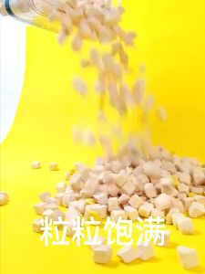 PETSEE Booster Gemuk Kucing 1kg Freeze Dried Cat Food Freeze Dried Chicken for Cat Booster Dry Chicken for Cat 鸡肉冻干 Cube